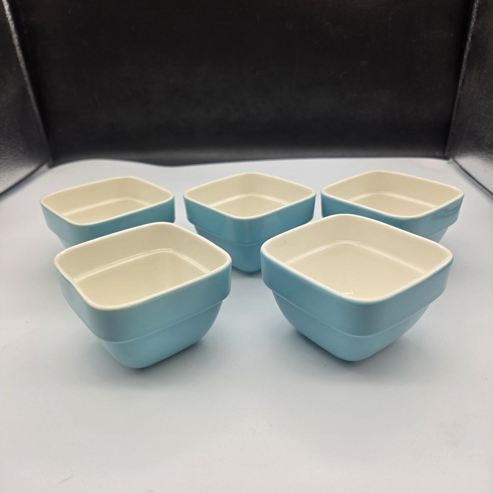 Samsle Ceramic Porcelain Ramekins Set 5 Baking Bowls Oven Microwave Dishwasher